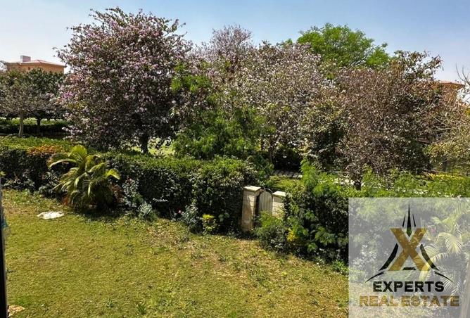 68263223 - Property Main Image