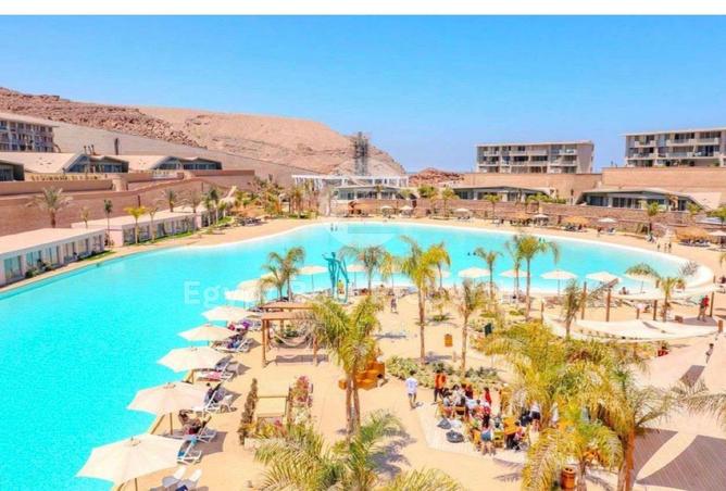 8721601 - Property Image 3