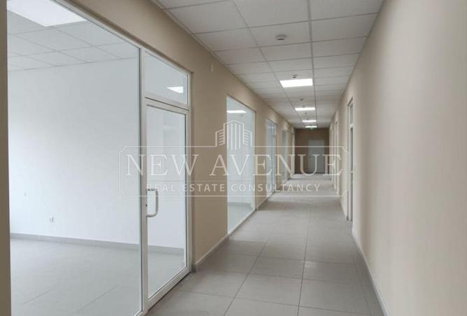 97434221 - صورة العقار 3