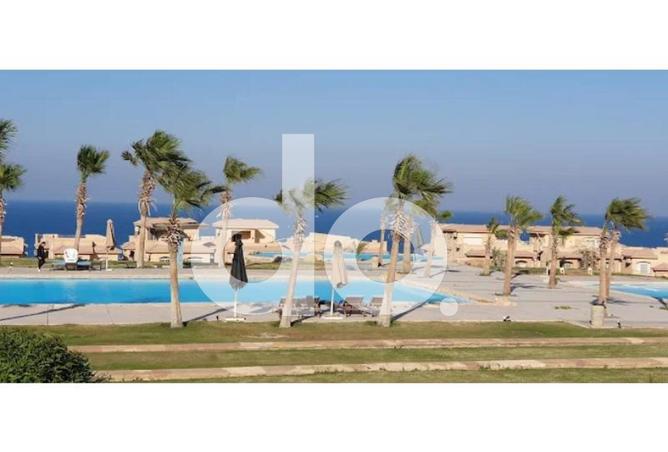 97725296 - صورة العقار 3