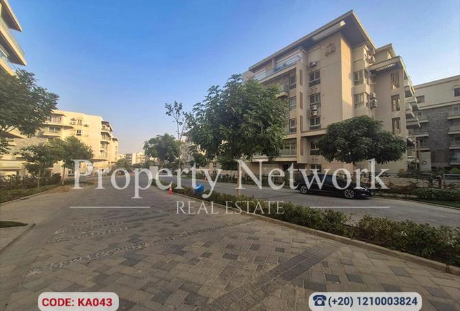 55003427 - Property Image 2