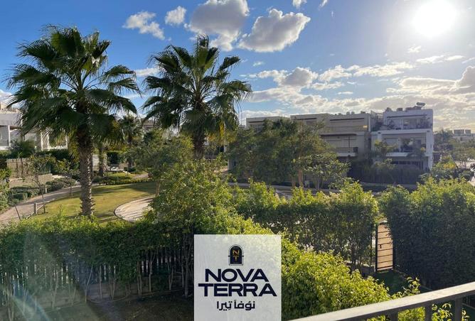 62646719 - Property Image 2