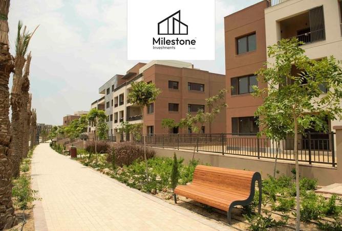 60950592 - Property Image 3