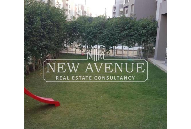 54505331 - صورة العقار 3