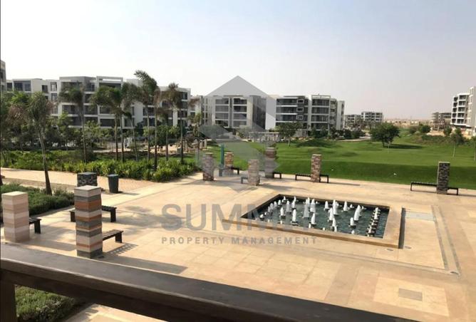 55008370 - Property Image 3