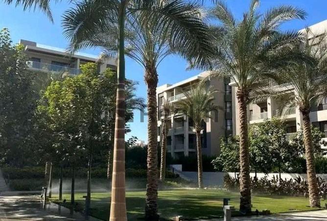 52453904 - Property Main Image