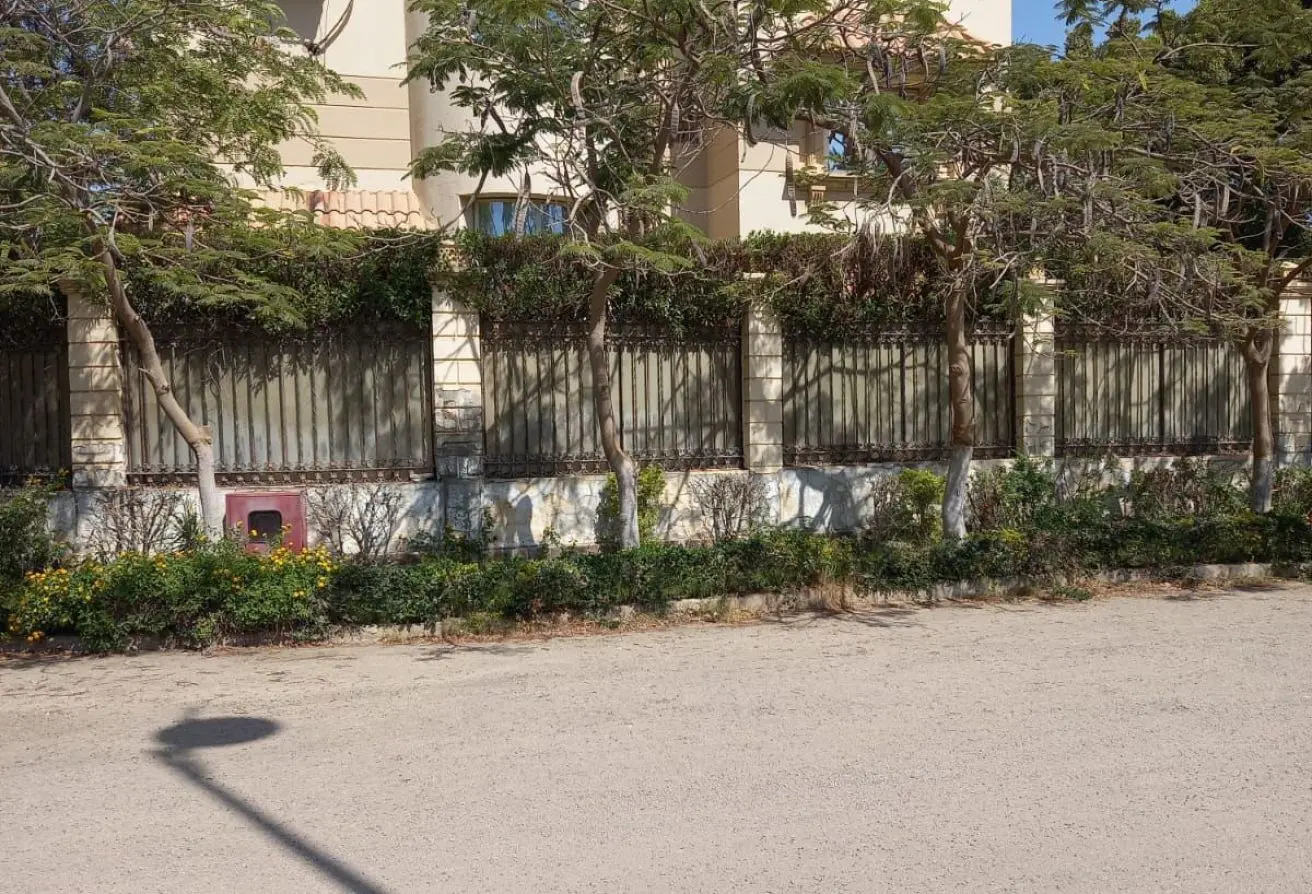 117017608 - الصورة الرئيسية للعقار