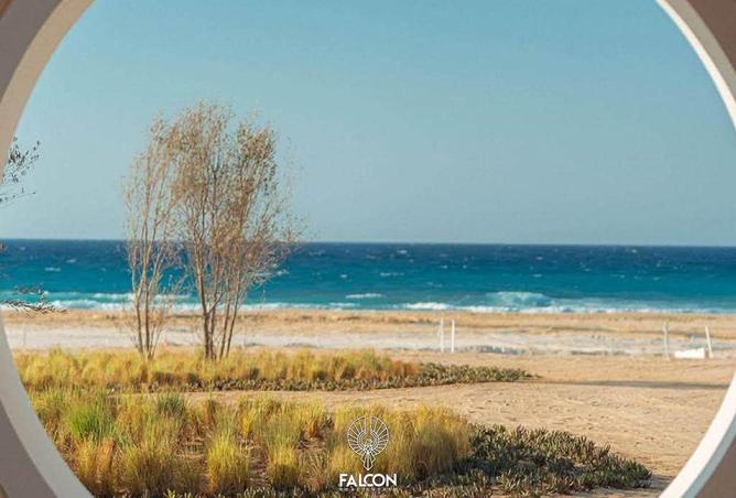 95473892 - صورة العقار 2