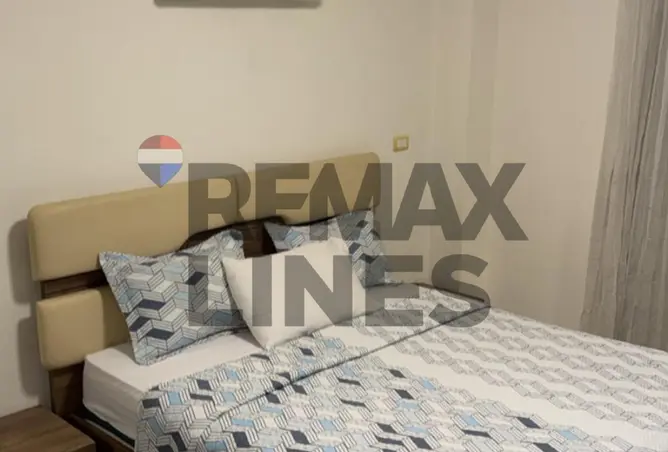 118551437 - Property Image 3