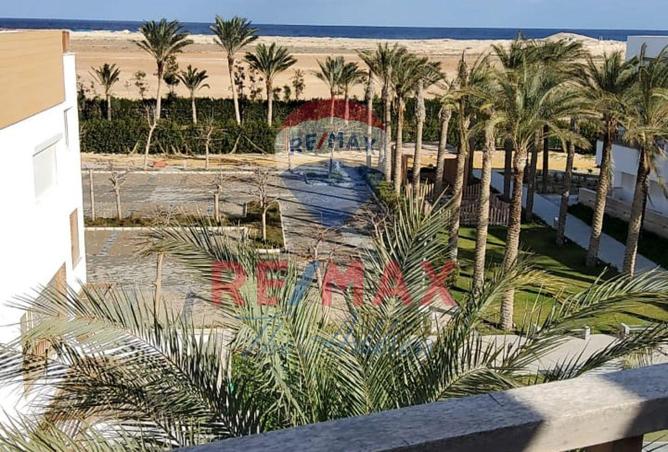 59741611 - Property Image 2