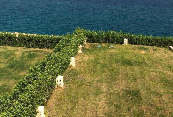 68520274 - صورة العقار 3