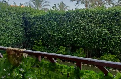 Apartment - 3 - 2 for rent in El Rehab Extension - Al Rehab - New Cairo City - Cairo
