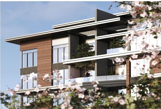 58242734 - Property Image 3