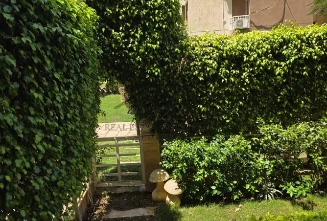 117537579 - صورة العقار 2