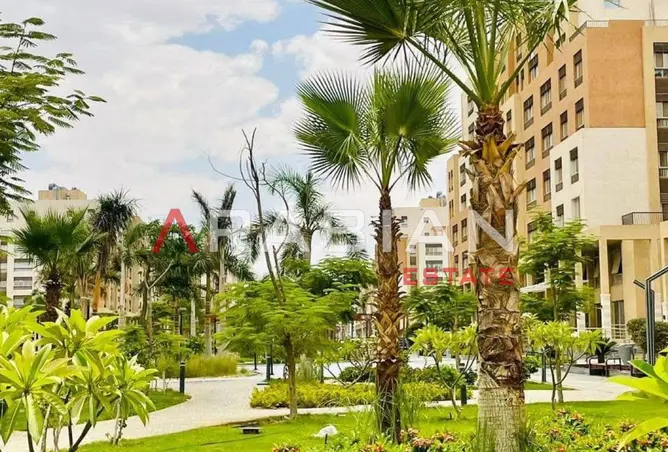 113256867 - صورة العقار 3
