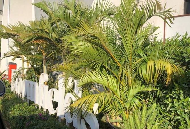 8566829 - صورة العقار 3