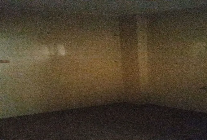 113830734 - صورة العقار 2