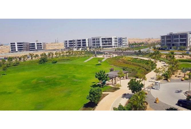 55512114 - صورة العقار 2