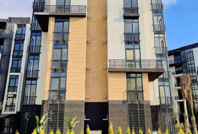 66173161 - Property Image 3