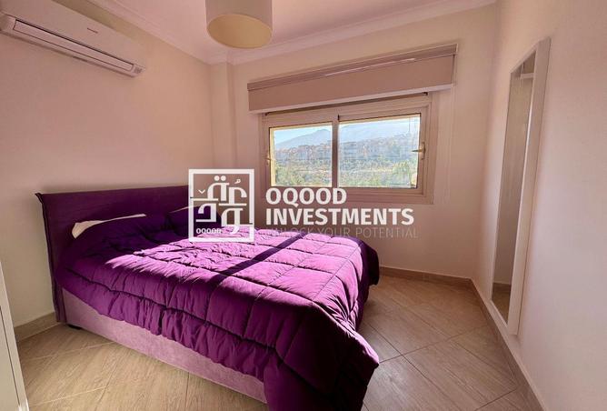 63397147 - Property Image 3