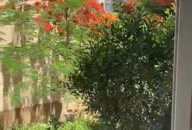 81834097 - الصورة الرئيسية للعقار