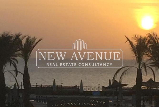 57488633 - Property Image 2