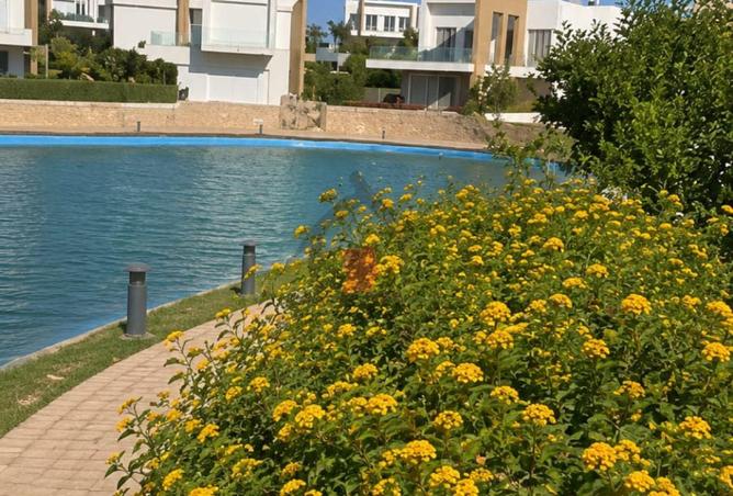 101782747 - صورة العقار 3