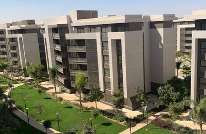 Apartment - 3 Bedrooms - 2 Bathrooms for rent in Madinaty - Cairo