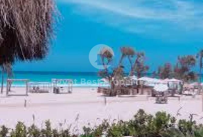 67991536 - صورة العقار 2