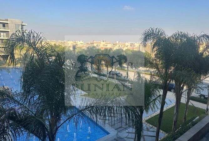 8416883 - Property Image 3