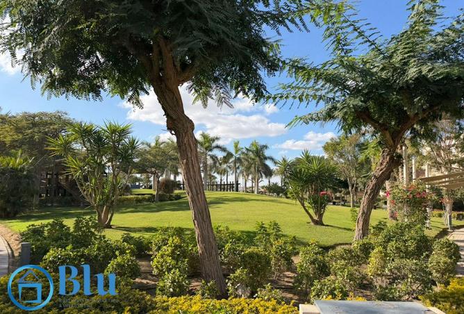 8490919 - صورة العقار 2