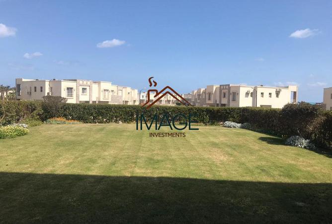 53734370 - صورة العقار 3