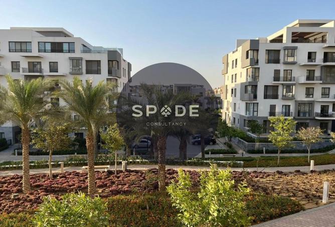 61692160 - Property Main Image