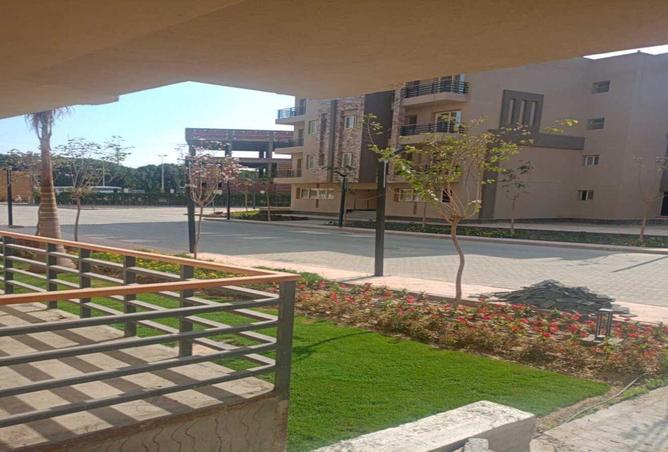 74583797 - صورة العقار 3