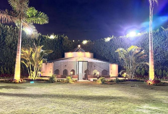 64891407 - صورة العقار 3