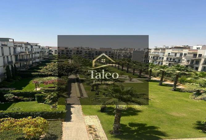 91289562 - Property Image 3