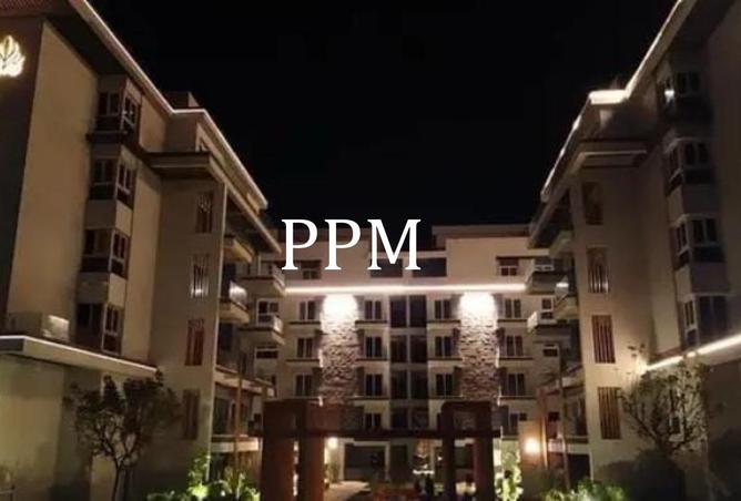 8702605 - Property Image 3