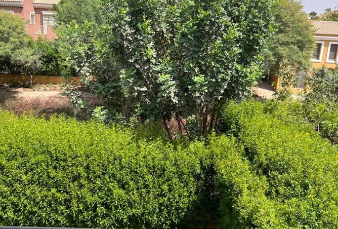 53227012 - صورة العقار 3