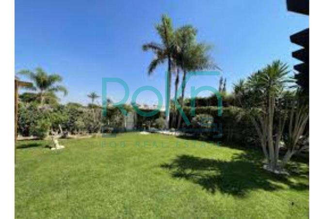 62651134 - صورة العقار 2