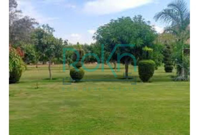 62651134 - الصورة الرئيسية للعقار