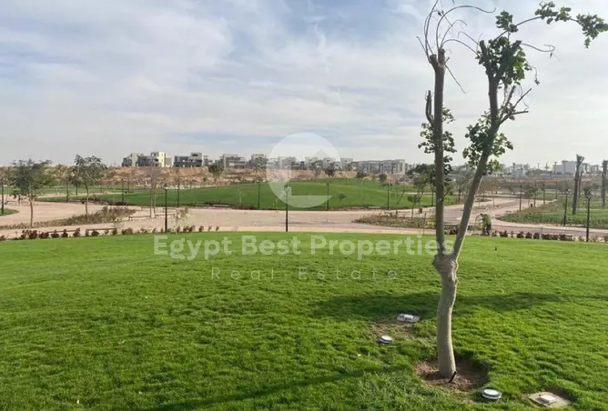 111893024 - صورة العقار 3