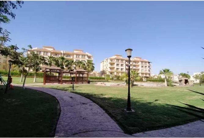 70089242 - صورة العقار 3