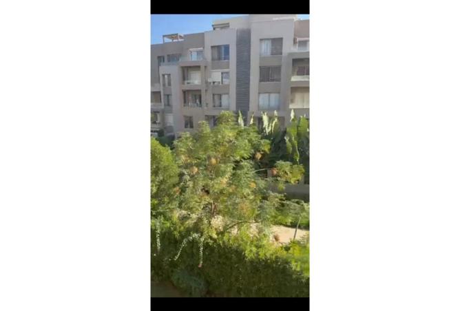 104047498 - Property Image 3