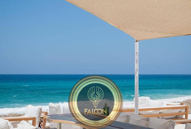 67732169 - صورة العقار 3