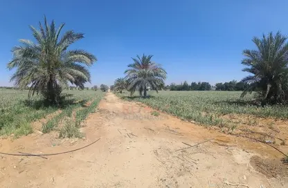 Land - Studio for sale in Ofok - Cairo Alexandria Desert Road - 6 October City - Giza