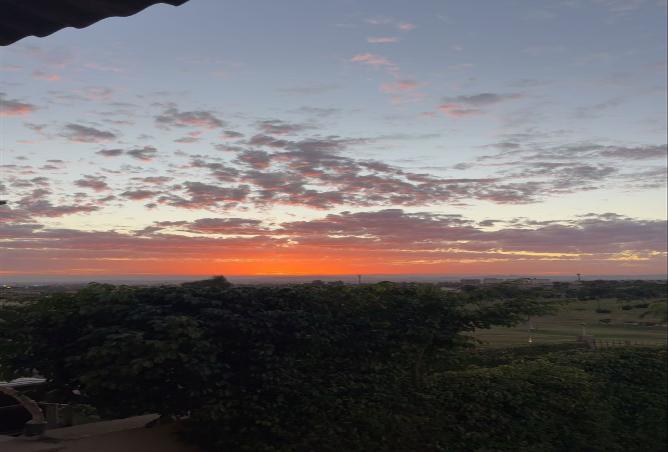 8519480 - صورة العقار 2