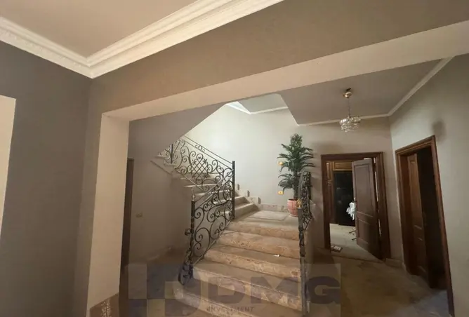 113250439 - صورة العقار 2