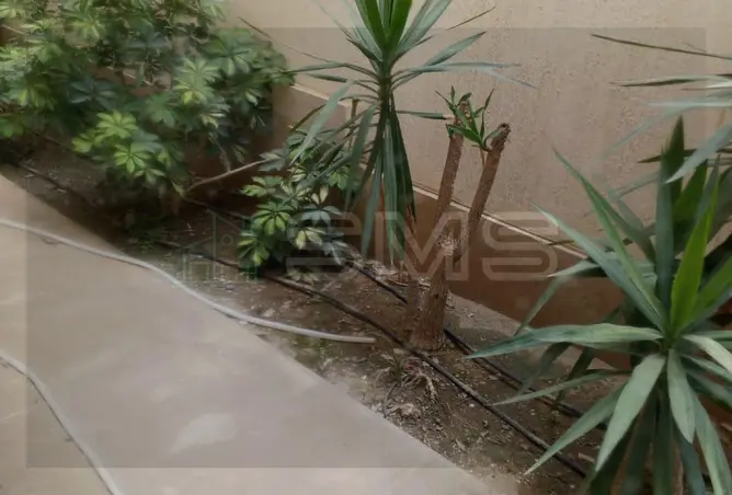 121151840 - Property Image 3