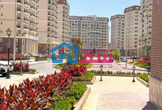 116753288 - Property Image 3