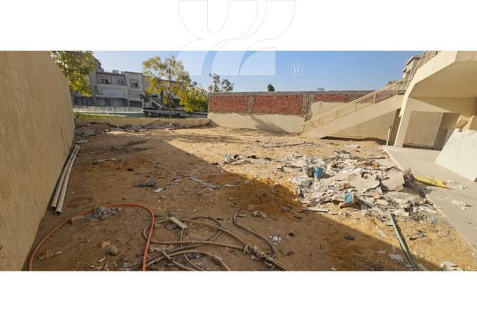 67214629 - Property Image 3